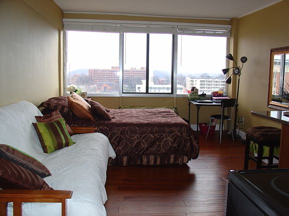 4th image of 1700 Clinch Ave APT 501