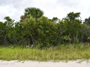 0 Moss Terrace & Nighthawk Ave, Palm Bay, FL 32908