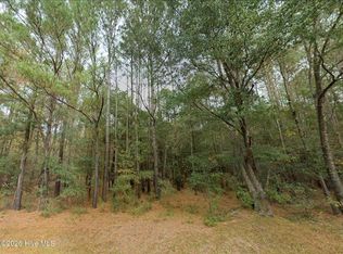 0 Shiloh Rd, Willard, NC 28478