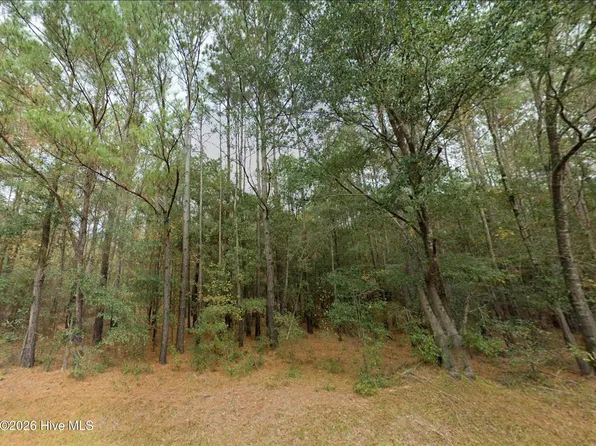 0 Shiloh Road, Willard, NC 28478