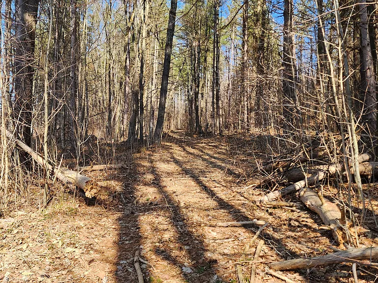 818 Danby Hill Rd #2 — Photo 24