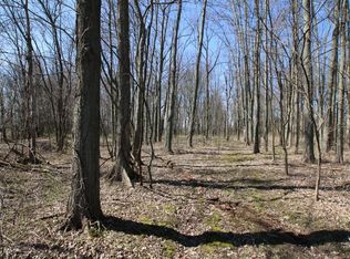 0 Downing Rd, Johnstown, OH 43031