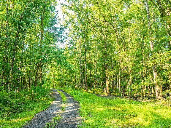 128th image of this home