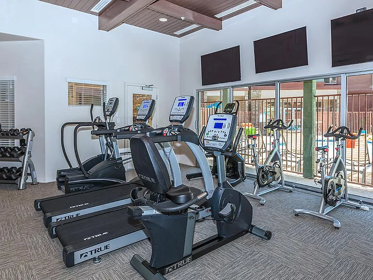 Fitness Equipment