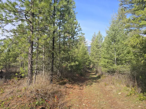 3 Larkspur Way Lot 12, Colville, WA 99114