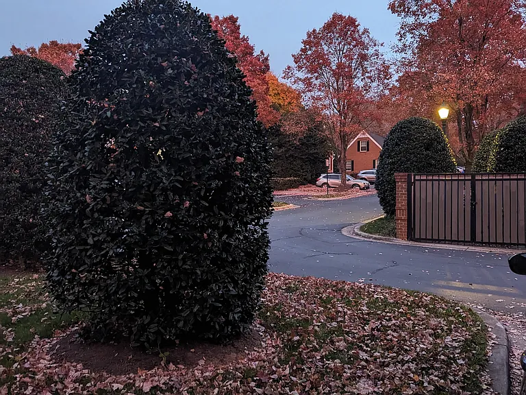 Pleasant Gate lane is lined with crimson maples that are beautiful in the fall