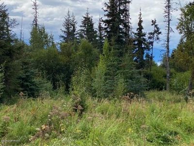 0 Woody Cir, Homer, AK, 99603