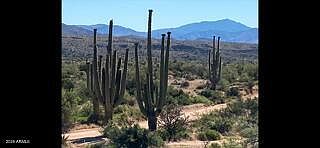 1st image of 14027 E Hawknest Road #none