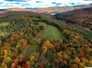 69 Alpine View Rd, Prattsville, NY 12468