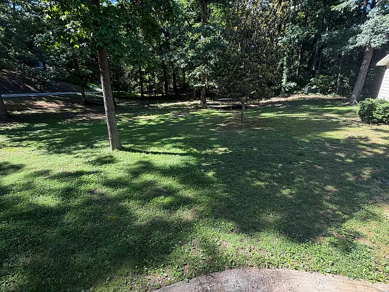 109 Moss Overlook Rd — Photo 19
