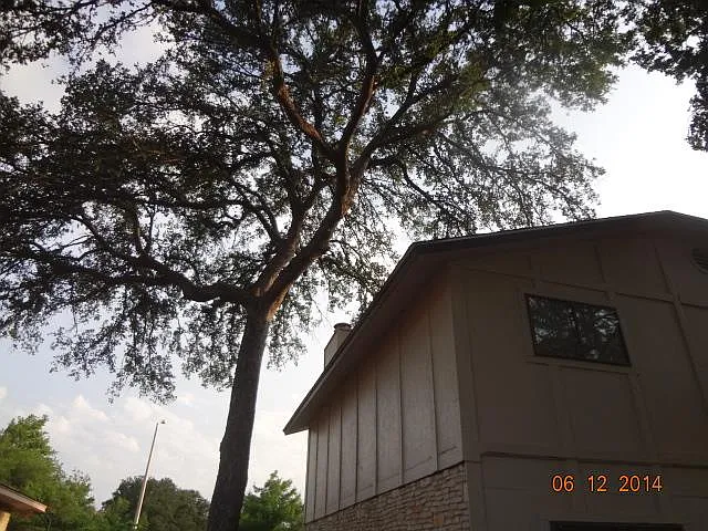 10700 Hard Rock Rd — Photo 15