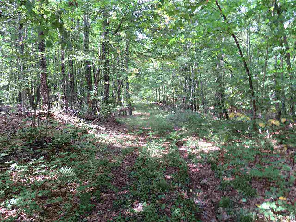 40 Acres Off, Skanee, MI 49962 Zillow