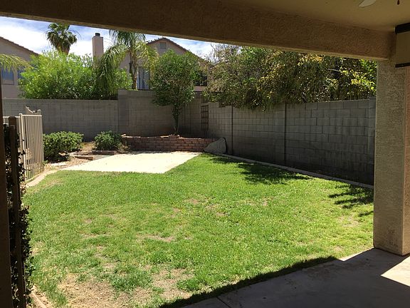 Backyard Grass Area