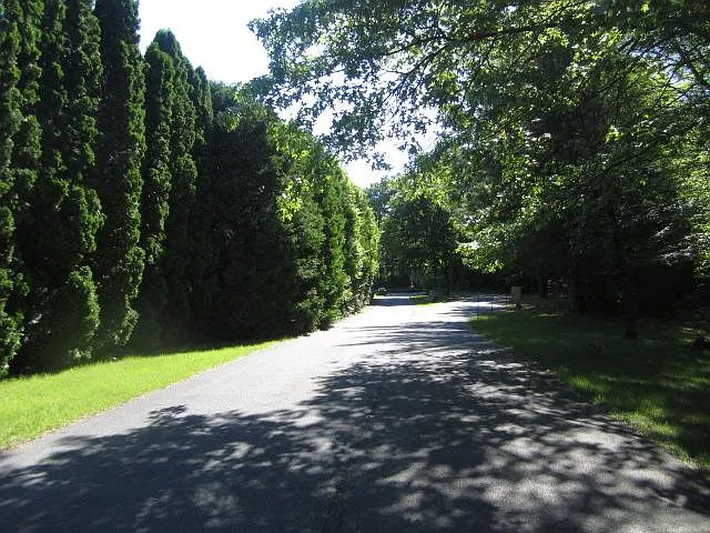 Forest Lane