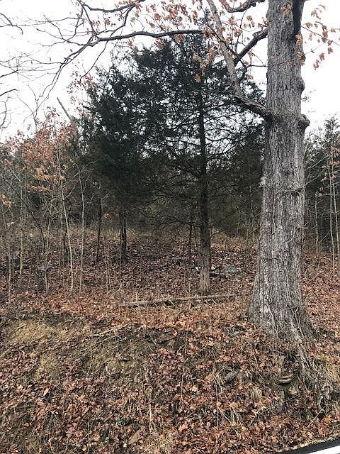 2nd image of 15390 Carlisle Rd