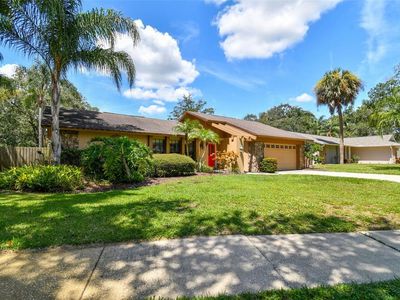440 Oak Creek Ln, Palm Harbor, FL, 34684