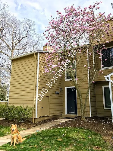 11013 Villaridge Ct #B Photo 1