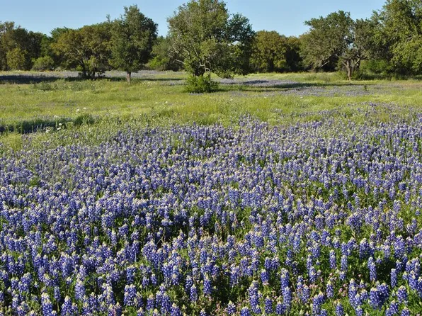 9445 N State Highway 71, Fredonia, TX 76842