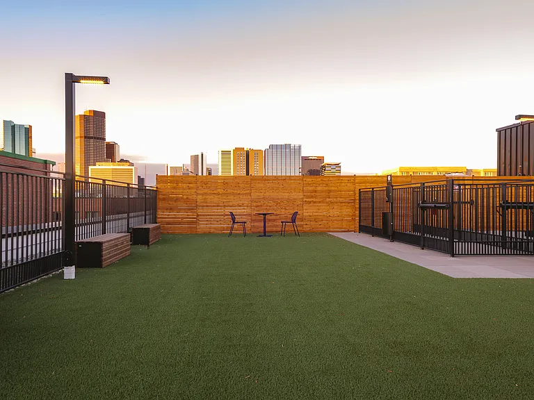 Rooftop dog run