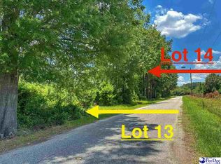 13 Gasque Dr, Latta, SC 29565