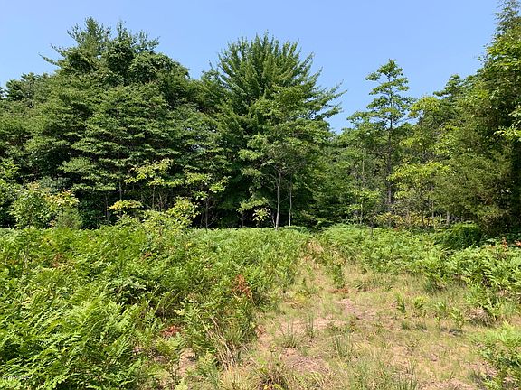 2nd image of 69703 County Road 384