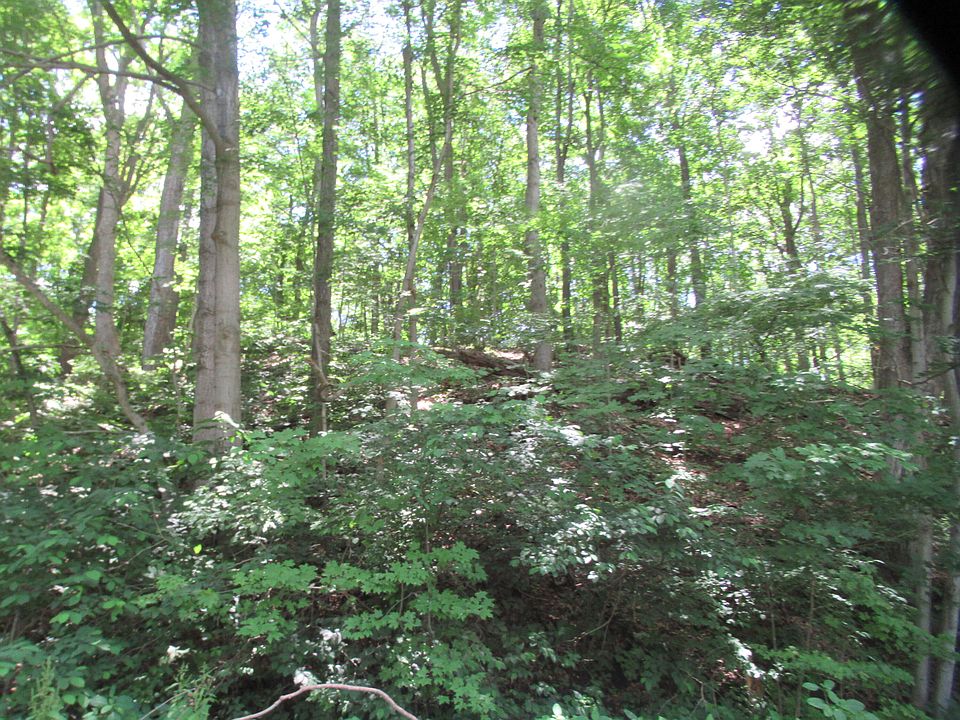 2nd image of Red Bud Trl N