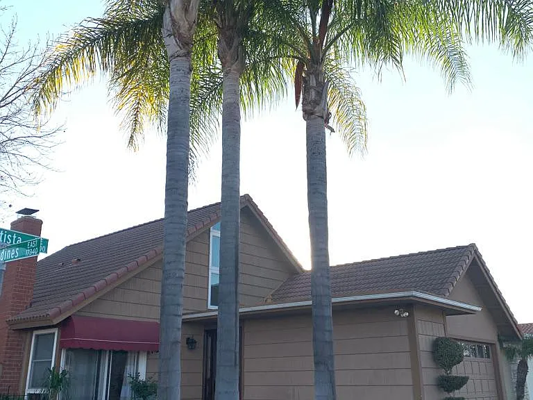 10896 La Batista Ave — Photo 2