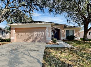 3144 Summer House Dr, Valrico, FL 33594