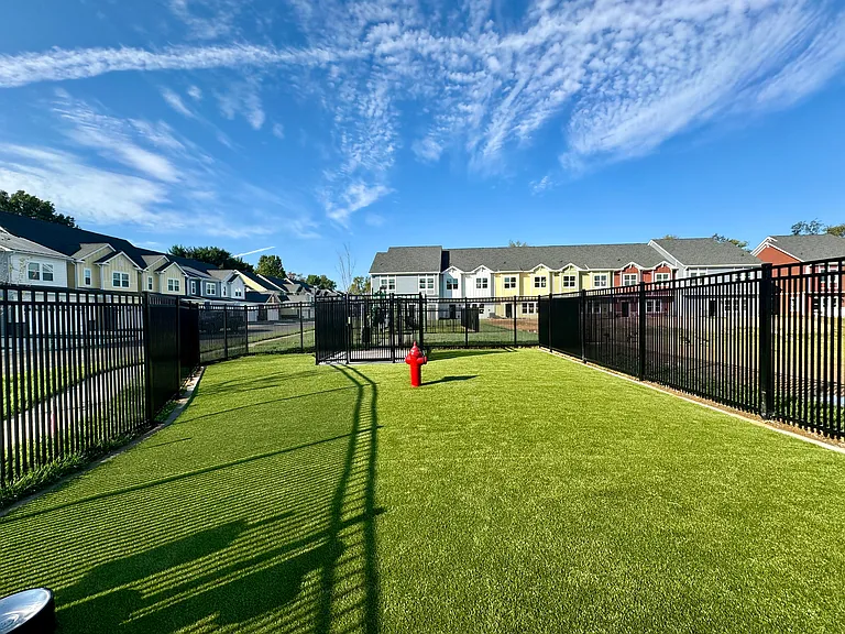 Dog park