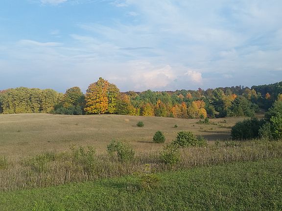 From the Street Looking East