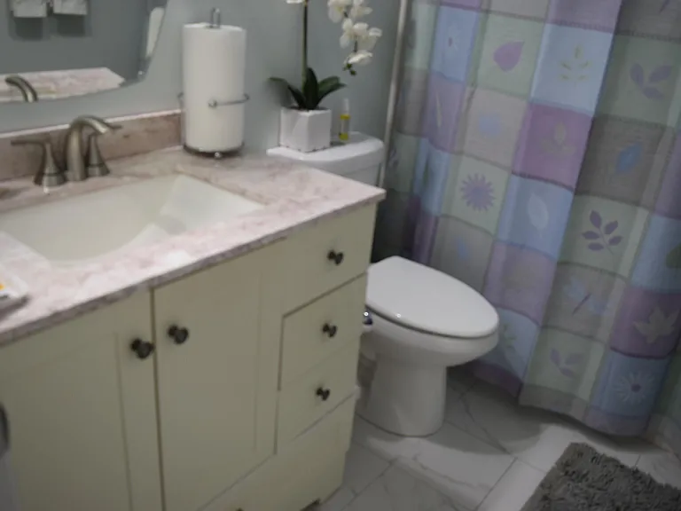 1 Lake Vista Trl #201 — Photo 16
