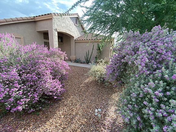 2nd image of 147 E Palo Blanco Way