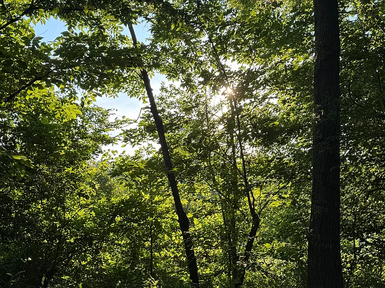 2540 Blackwolf Run Ln #1 — Photo 44