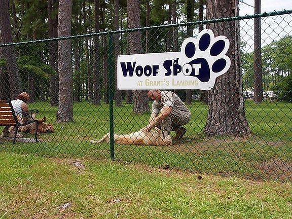 Dog Park