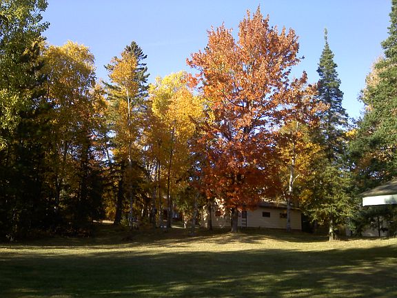 3rd image of 7719 Ely Lake Dr