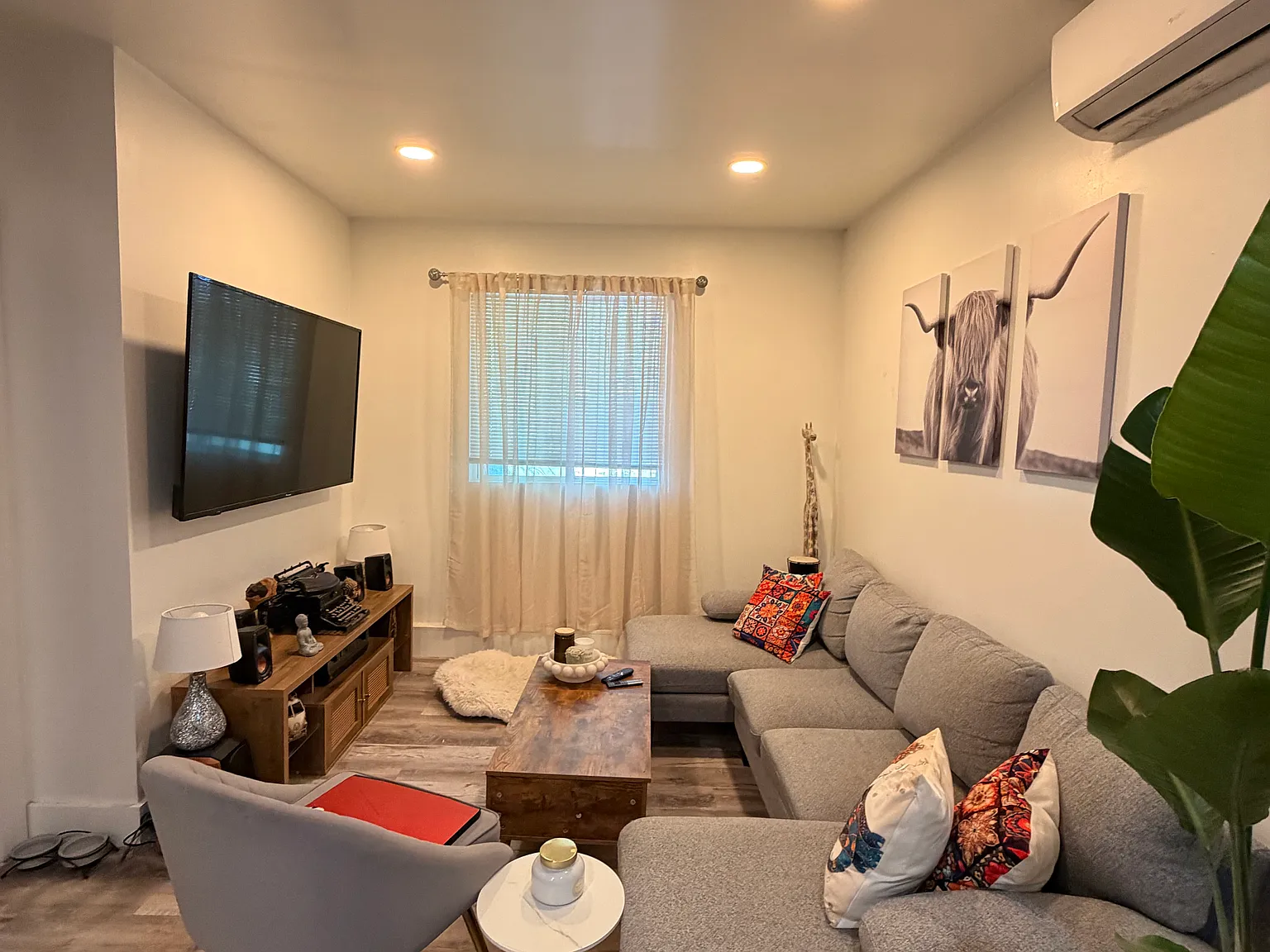 1 bed, 433 sqft, $2,125 — Photo 4