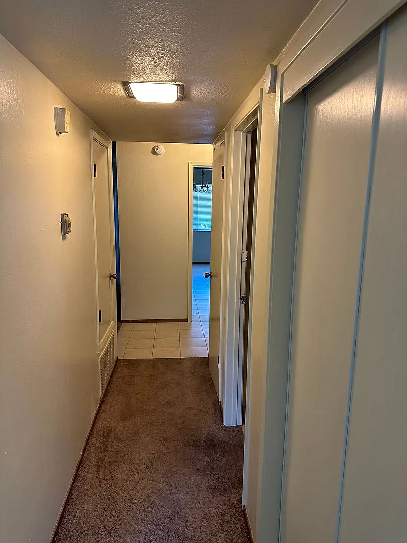2 Bedroom & 2 Bathroom Castro Valley Apartment!! — Photo 3