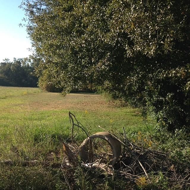 1st image of 17220 Highway 190 E
