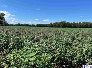 Tbd Harlees Bridge Rd, Dillon, SC 29536