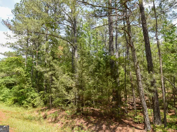 0 Skelton Rd Lot 9, Thomaston, GA 30286