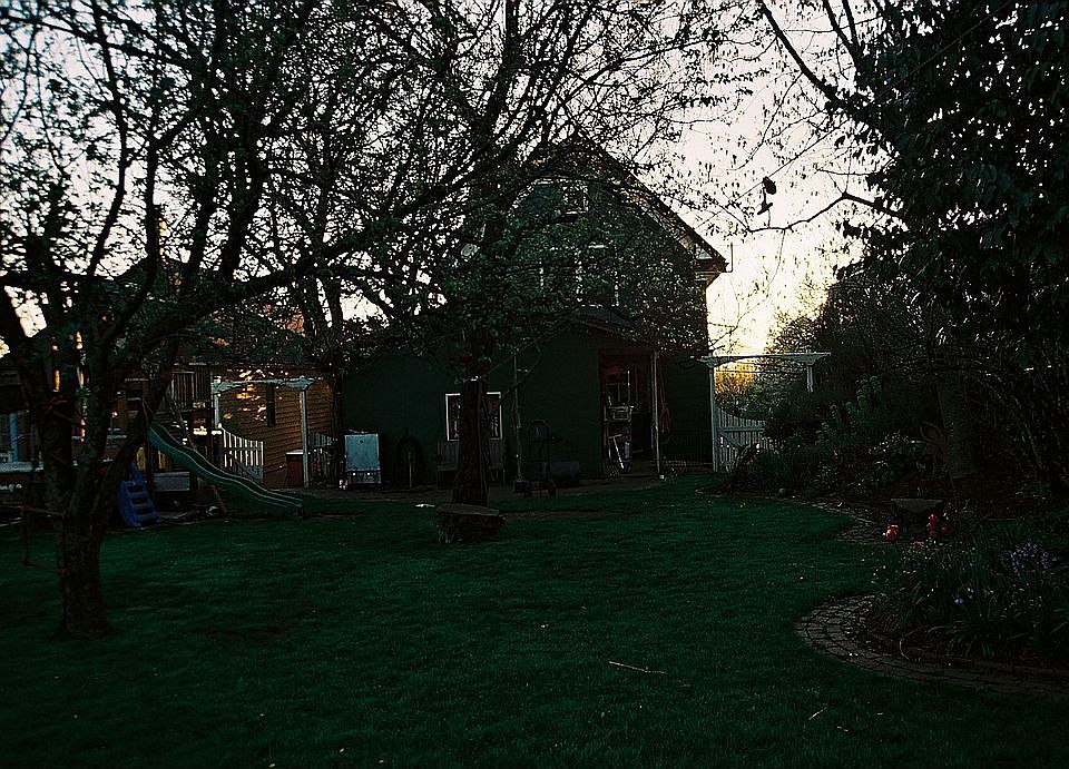 house from back yard