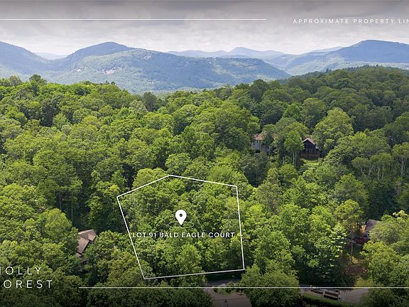 3rd image of Lot 91 Bald Eagle Court