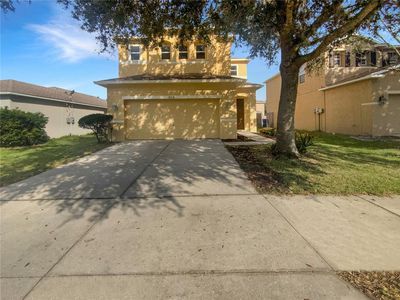 9719 Maxson Dr, Land O Lakes, FL, 34638