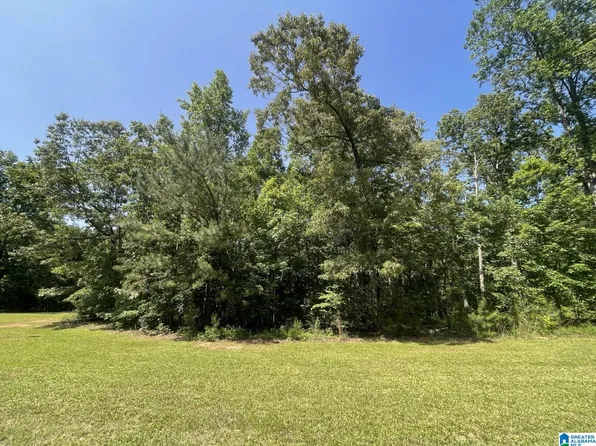Blackberry Dr #92, Wedowee, AL 36278