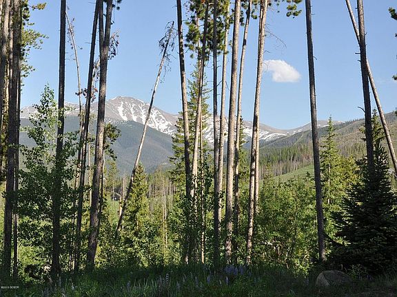 3rd image of 936 Elk Trl
