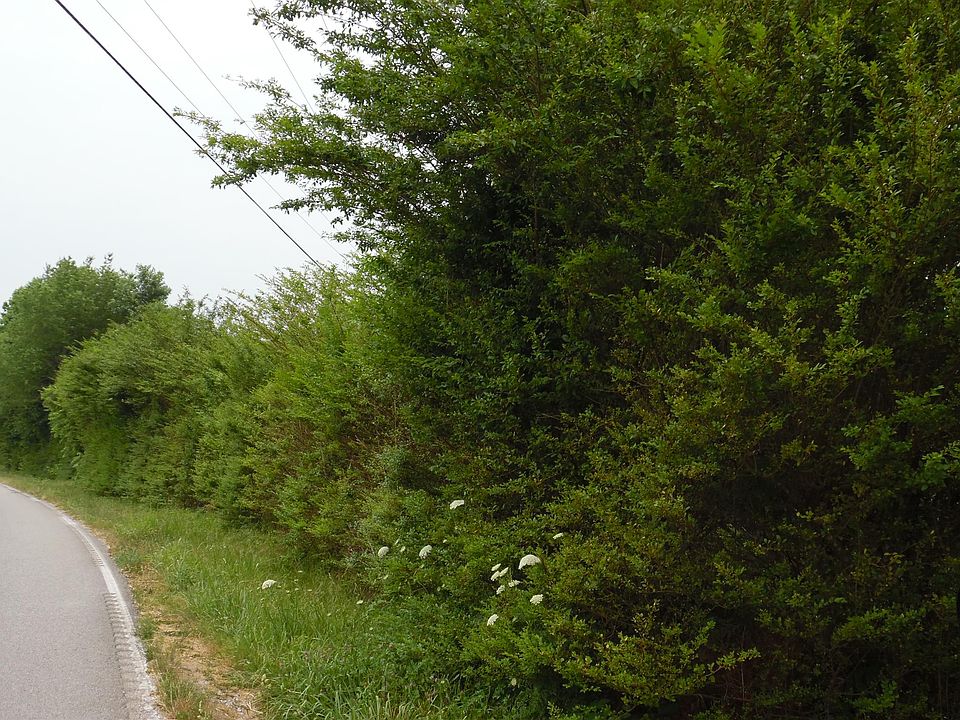 2nd image of 3546 Blanton Chapel Rd