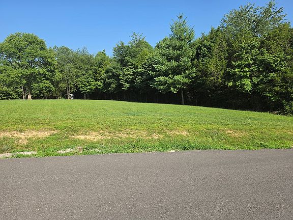 4th image of Tulip Ln