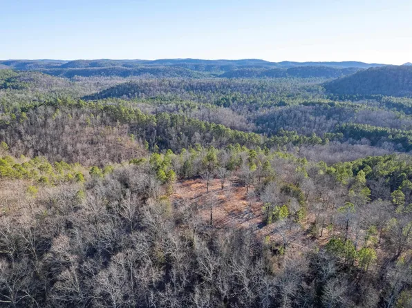 151 Macks Ln, Mena, AR 71953