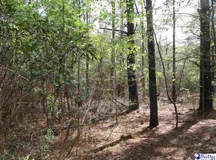 273 Coxe Rd E, Blenheim, SC 29516