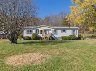 29171 Blue Springs Rd, Meadowview, VA 24361